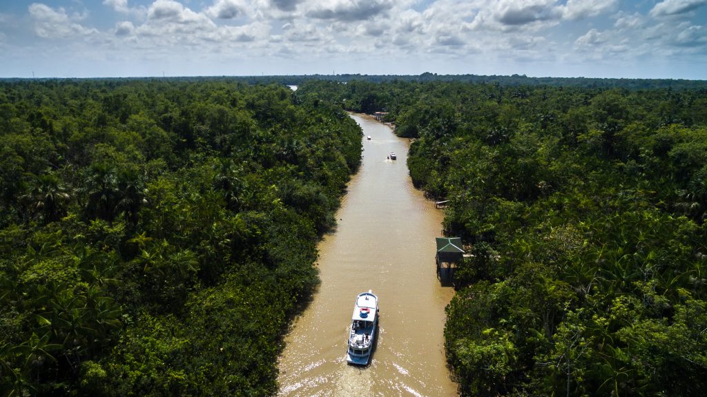 Amazonia Siempre