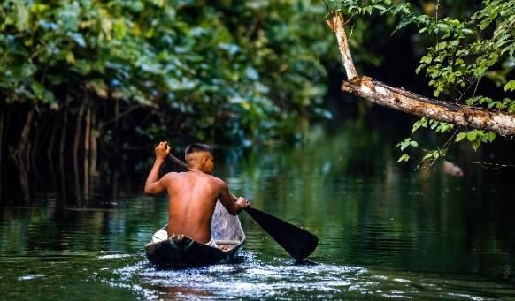 La amazonia el pulmón del mundo